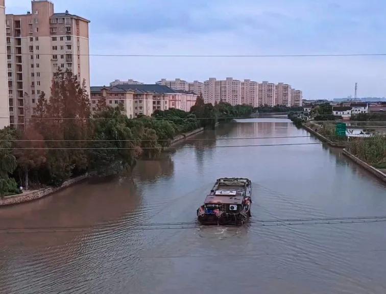 上海浦东稻田,浦东新区稻田风光美如画