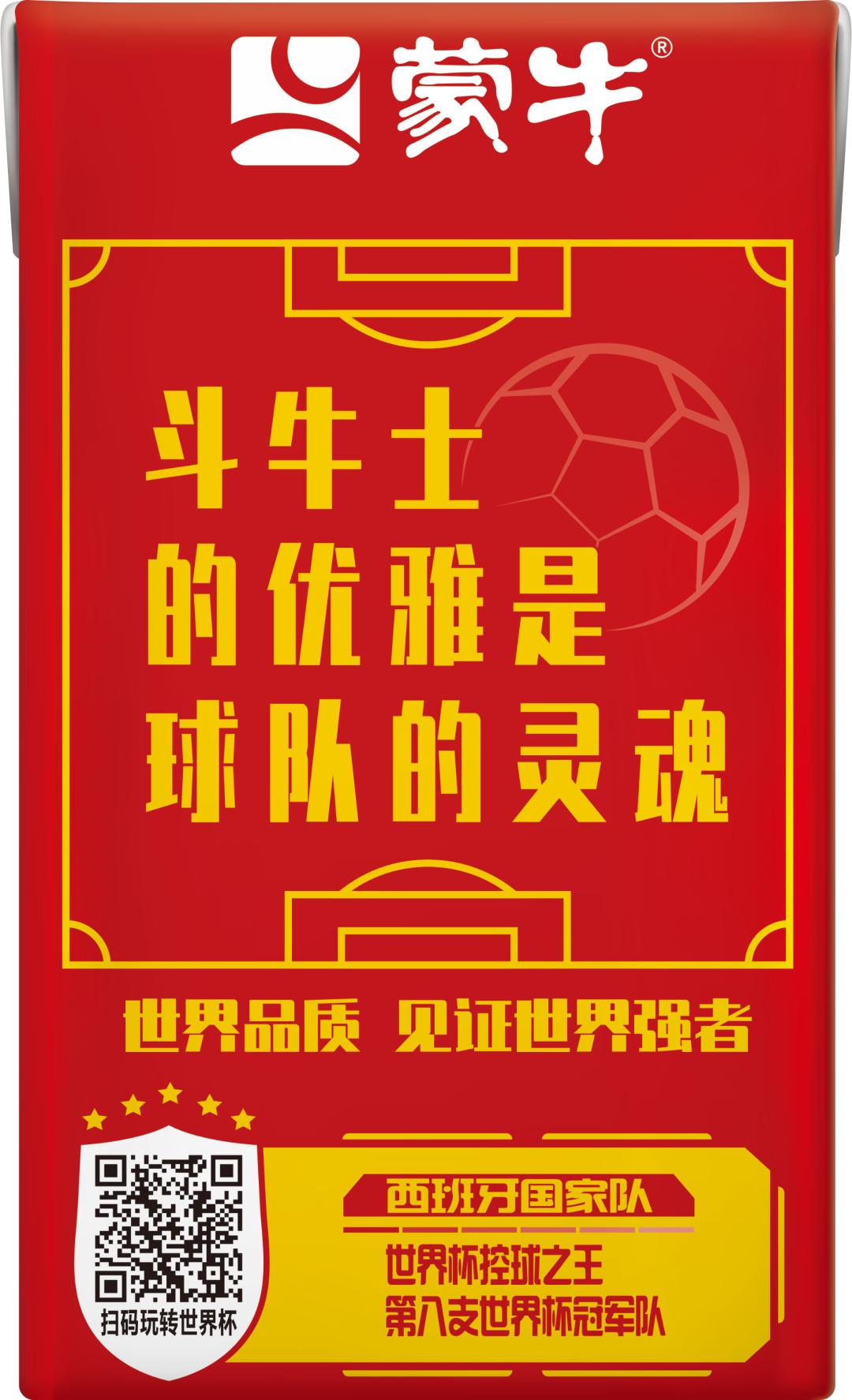 世界杯足球员故事,世界杯队长纪录片第四集