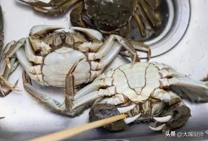 蒸螃蟹用冷水还是热水蒸,蒸螃蟹用开水蒸还是用凉水蒸