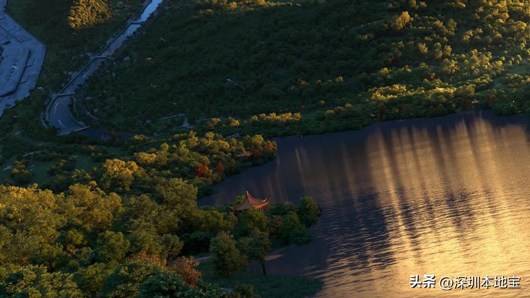 脑洞大开把深圳装进宇宙飞船,把城市移到太空