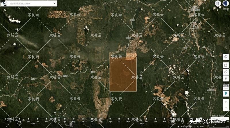 马来砍伐猖獗，在线可买伐木许可证