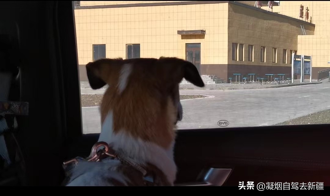 西域漫游,西域漫游记完整视频