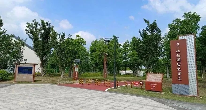 公园全民健身项目有哪些,全民健身传递健康快乐的生活方式