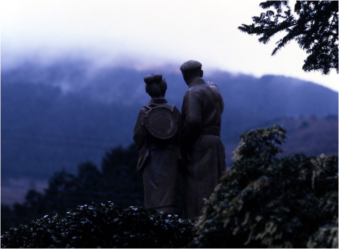 日本伊豆七彩神仙鱼,伊豆在日本哪个县