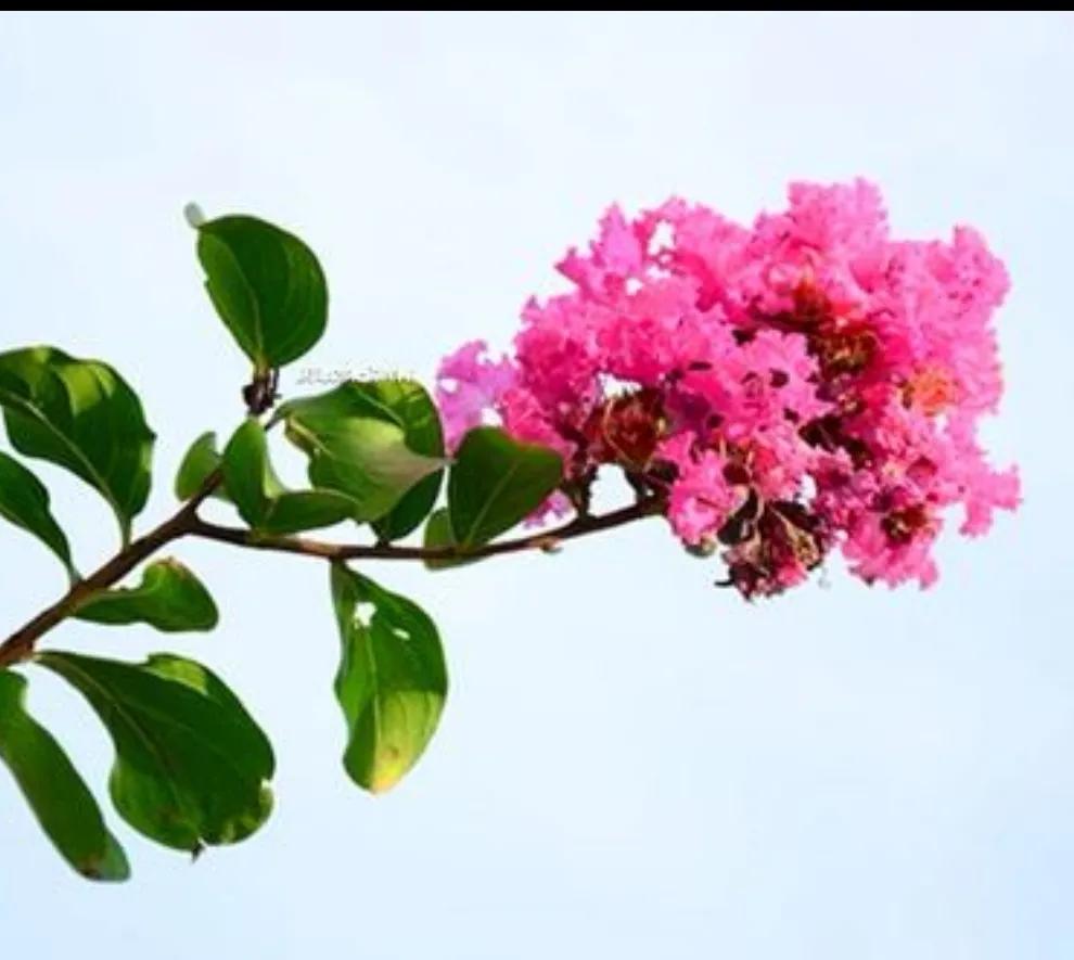 辩证法关于矛盾问题的精髓,如何正确把握矛盾问题的精髓