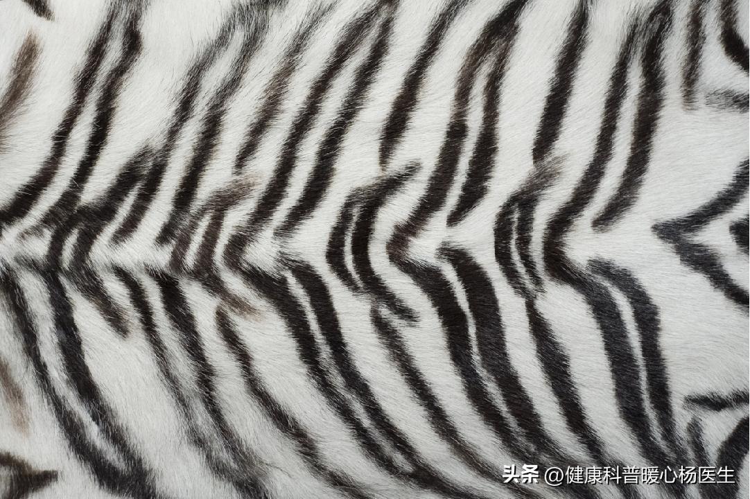 各处毛发分叉真正的原因,为什么有的毛发粗细不一致