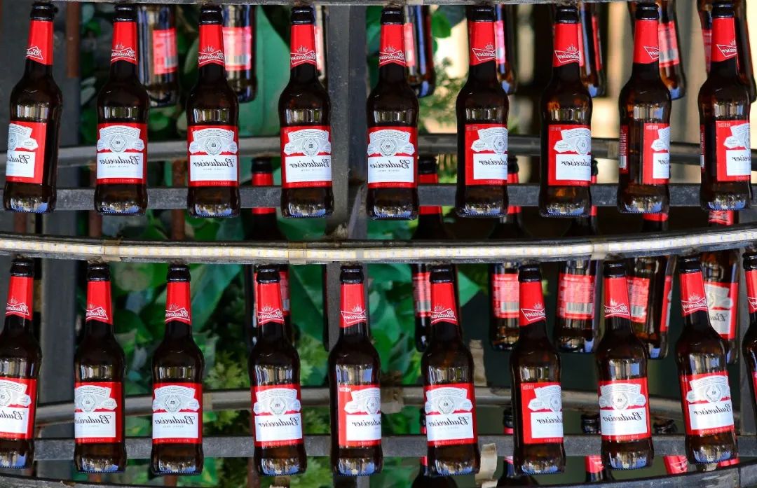 国产高颜值啤酒,国产百威英博冰醇纯清啤酒