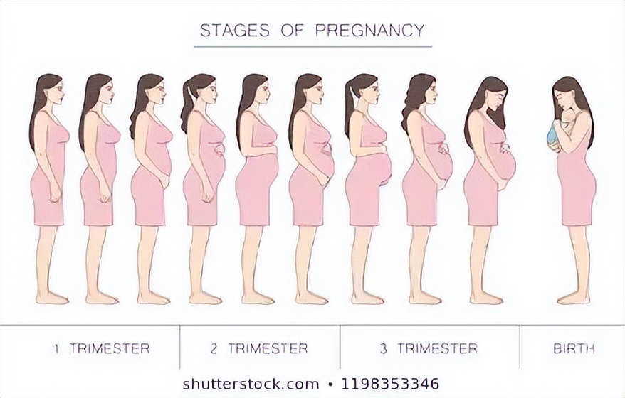 产后身体的十大变化,产后身体的特点