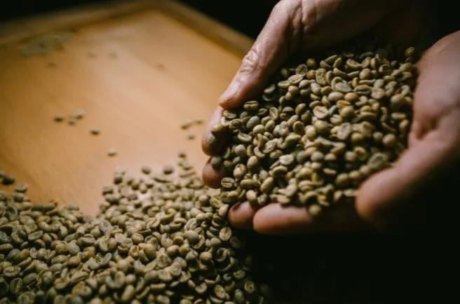 年糕带你玩杭州,年糕带你逛北京