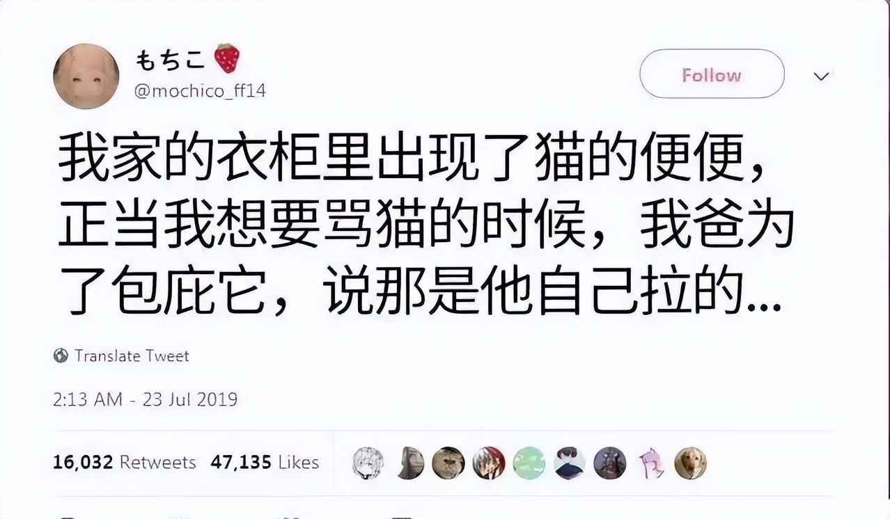 我家猫尿进了洗衣篓里，我爸为了包庇猫说，是他尿的···