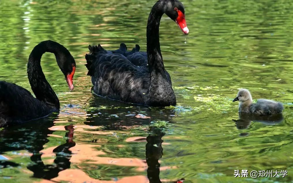 选择大学看哪些因素,选择大学优势专业的好处