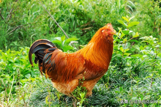 带3万元去伺候儿媳坐月子，听到儿媳和亲家母的对话，我怒了