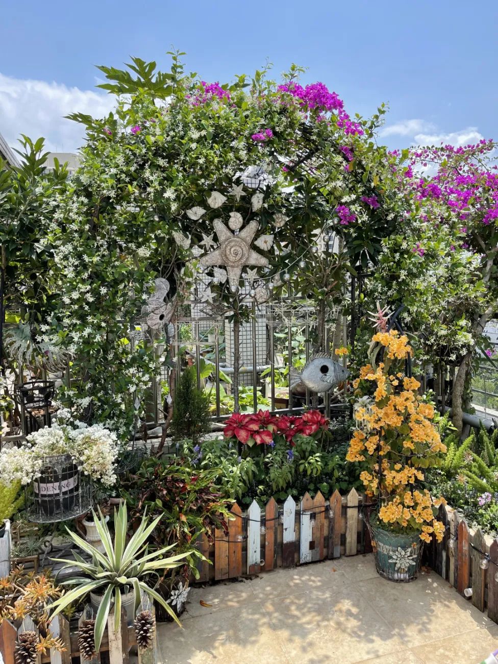 很多人羡慕的阳台,让别人羡慕的阳台