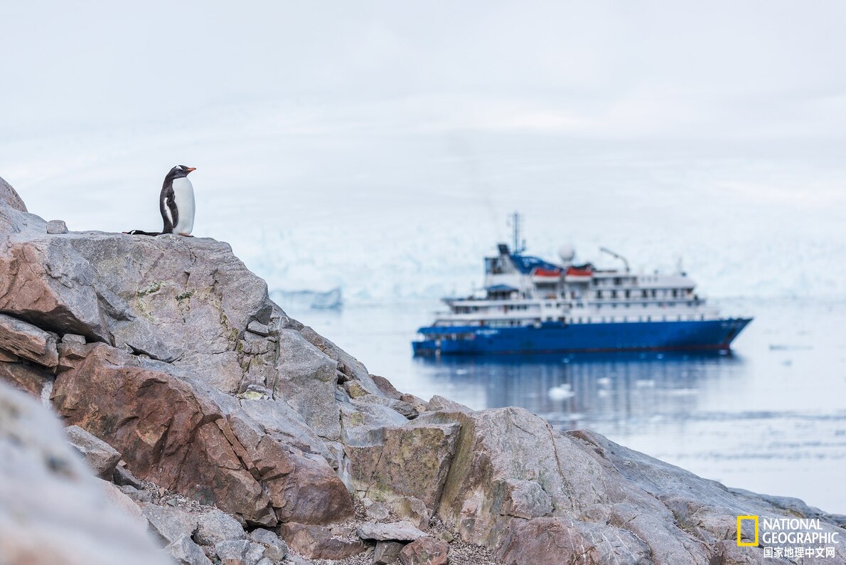 南极洲没有太阳是什么样子的,南极洲的气候类型