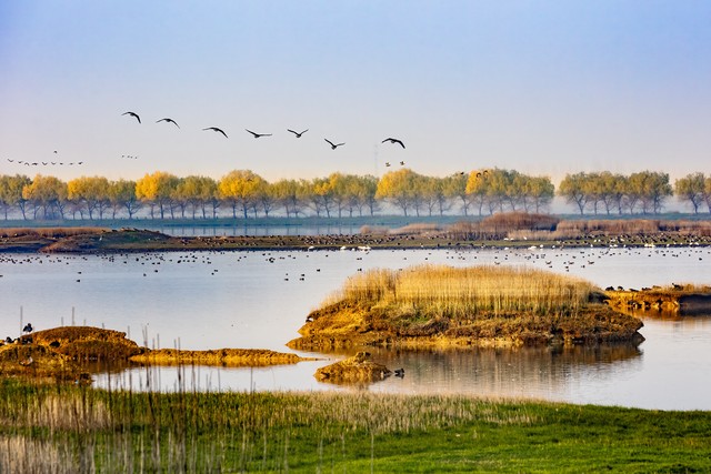 动物们种蜂蜜的童话故事,动物们在河边玩耍的童话故事