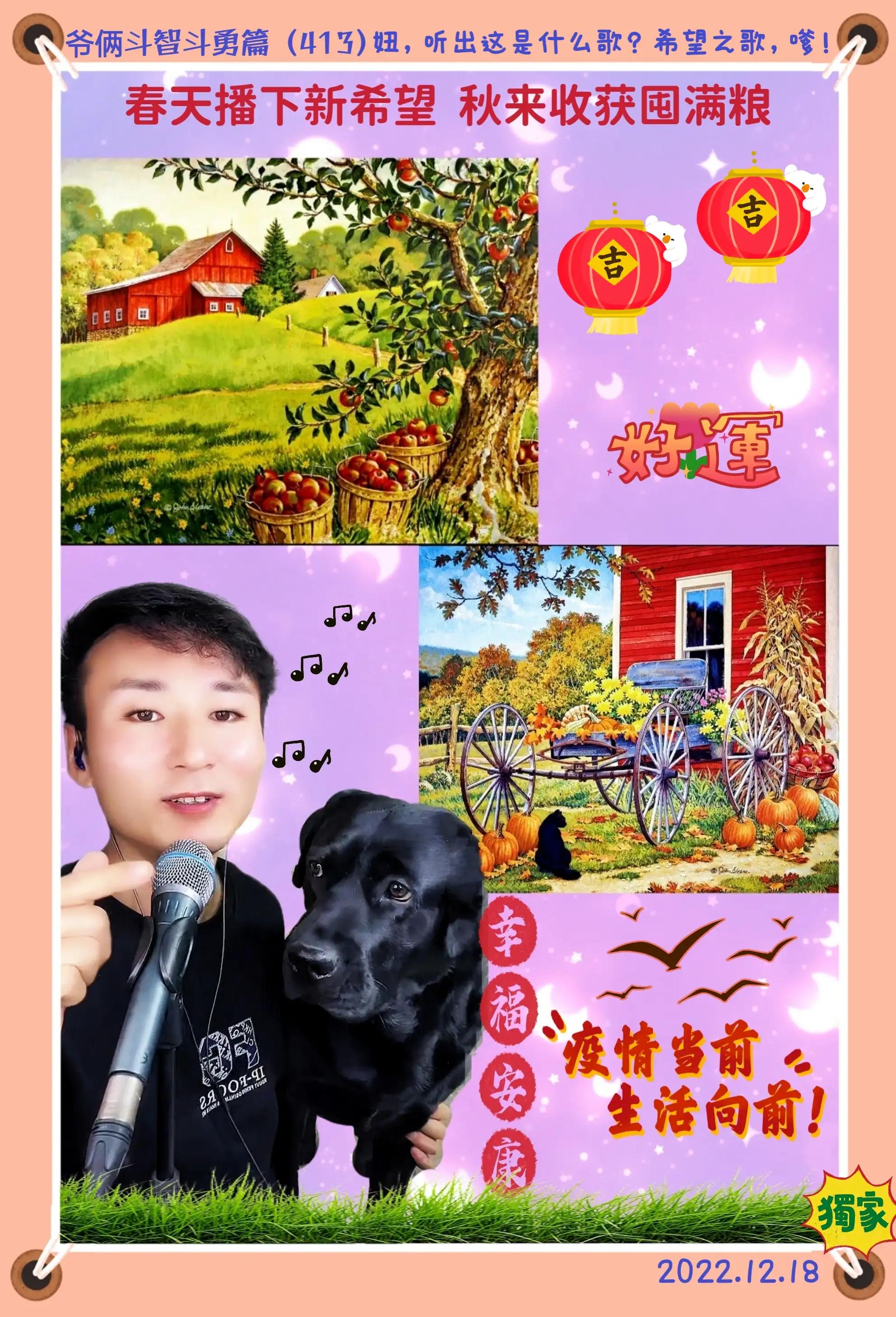 随心所欲32,随心随意老院子