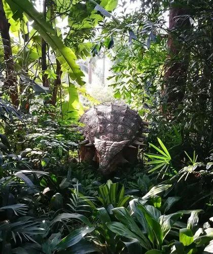 广州长隆野生动物园全部动物,广州长隆野生动物园所有动物介绍