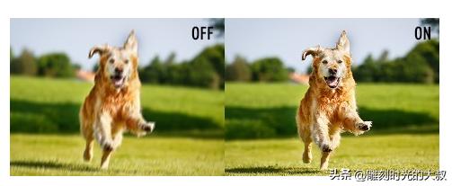 2022年6月哪款相机最值得入手,2022最值得购买的长焦相机