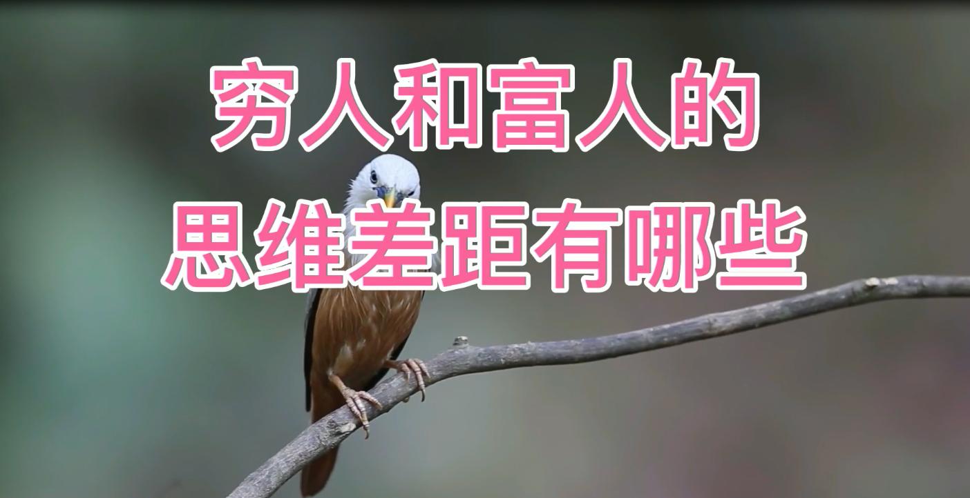 穷不懂这三个技巧，富不逃离这三类人，古训深思，助你致富之道