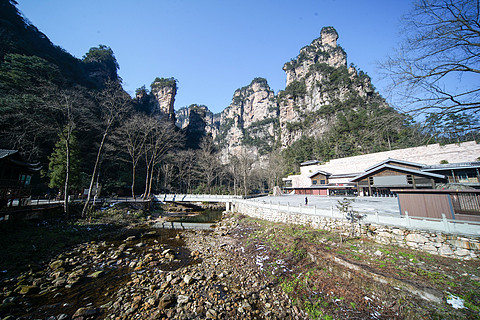 飞雪迎春山花烂漫,飞雪迎春绽玉蕊