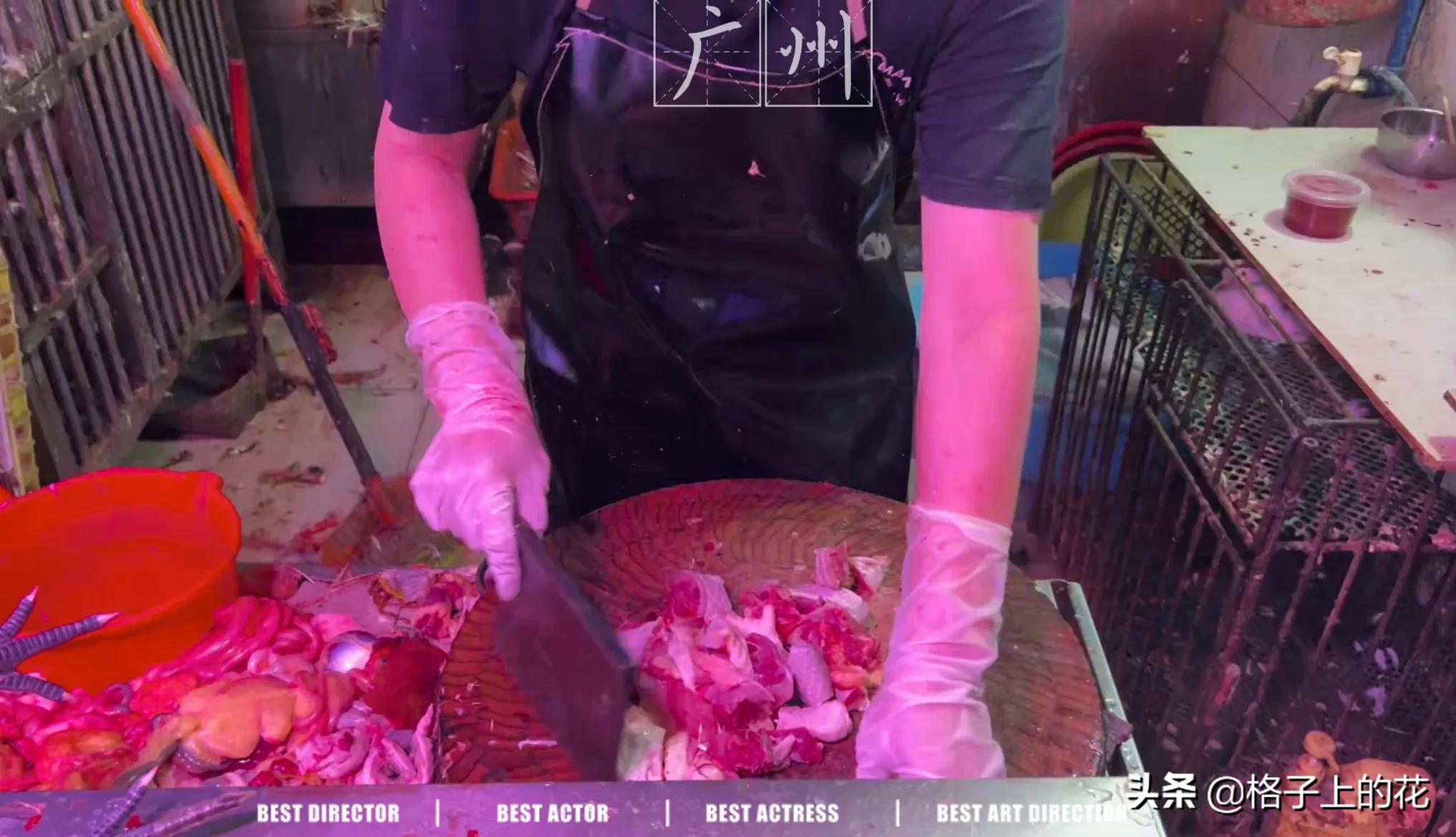 广州菜市场有多离谱,广州菜市场切肉