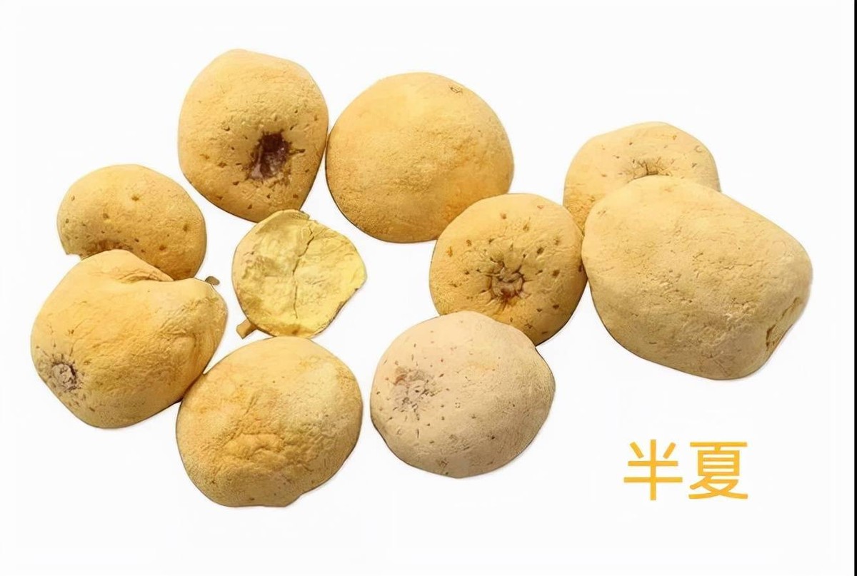 肝郁脾虚化火犯胃的经方,中医治肝郁脾虚胃痛方剂案例分析