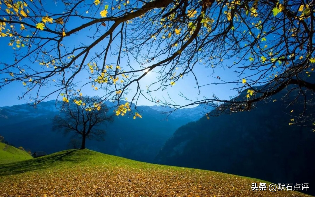 美国今晚cpi黄金利空还是利好,美联储谈黄金走势