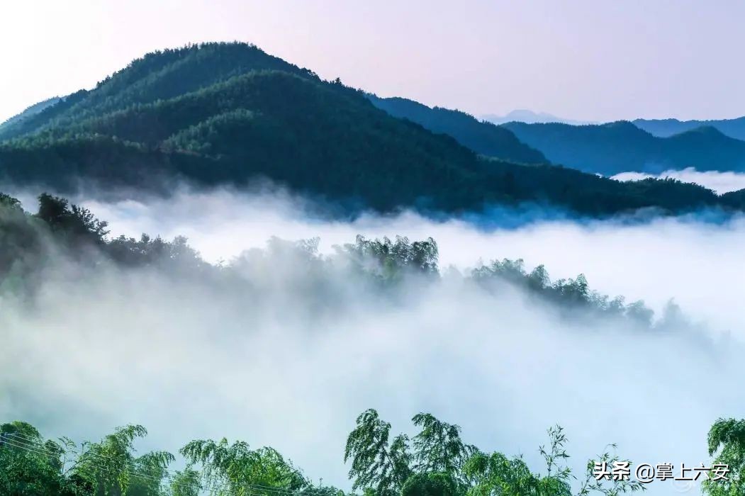 光遇春日踏青活动攻略,春光明媚游玩季