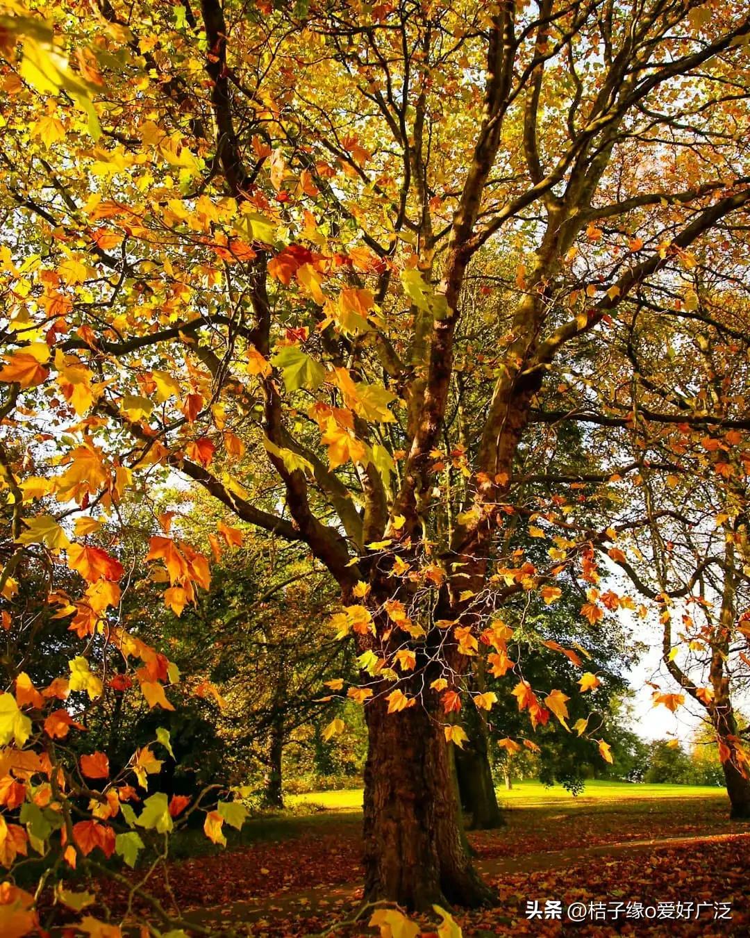 何为真正的读书人,什么是读书人的使命