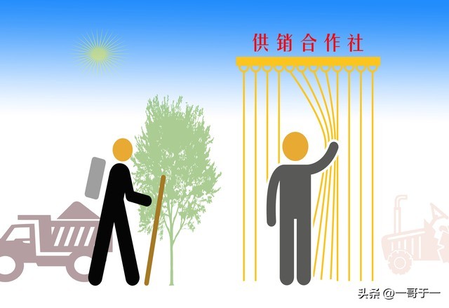 供销社的发展现状及面临的挑战,目前的供销社是如何经营的