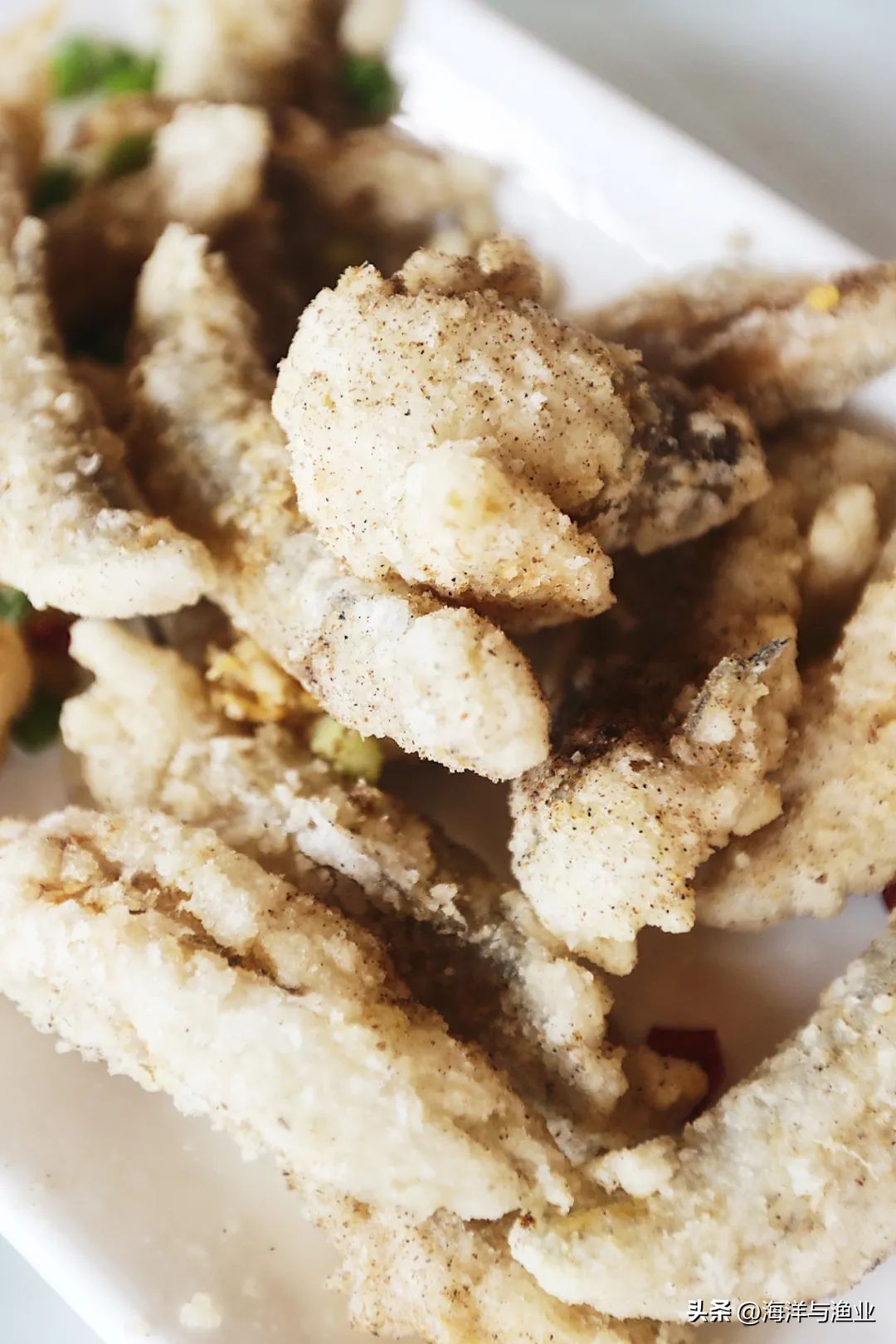 中国渔业海鲜之都,海鲜水产哪几个地方最出名