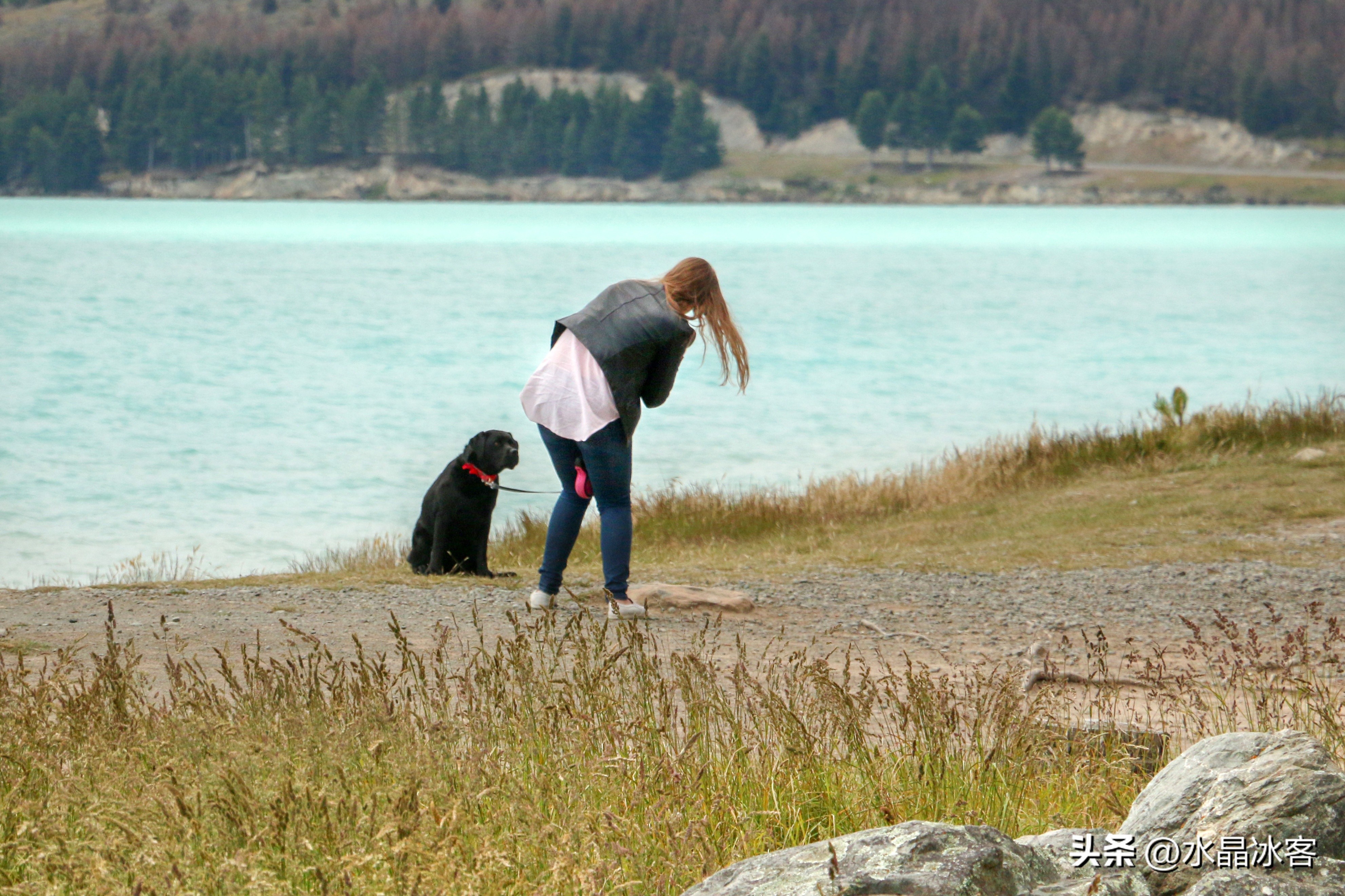 南岛新西兰之旅,新西兰之南岛