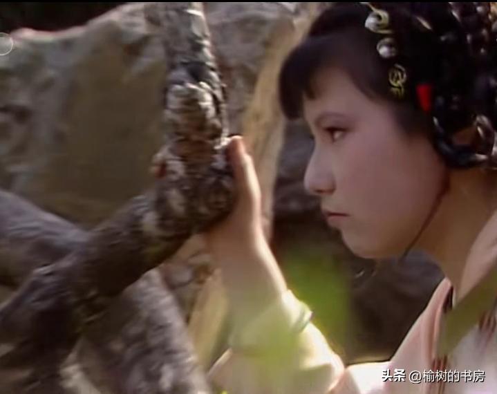 【红楼梦】荣国府“坏人”很多吗?