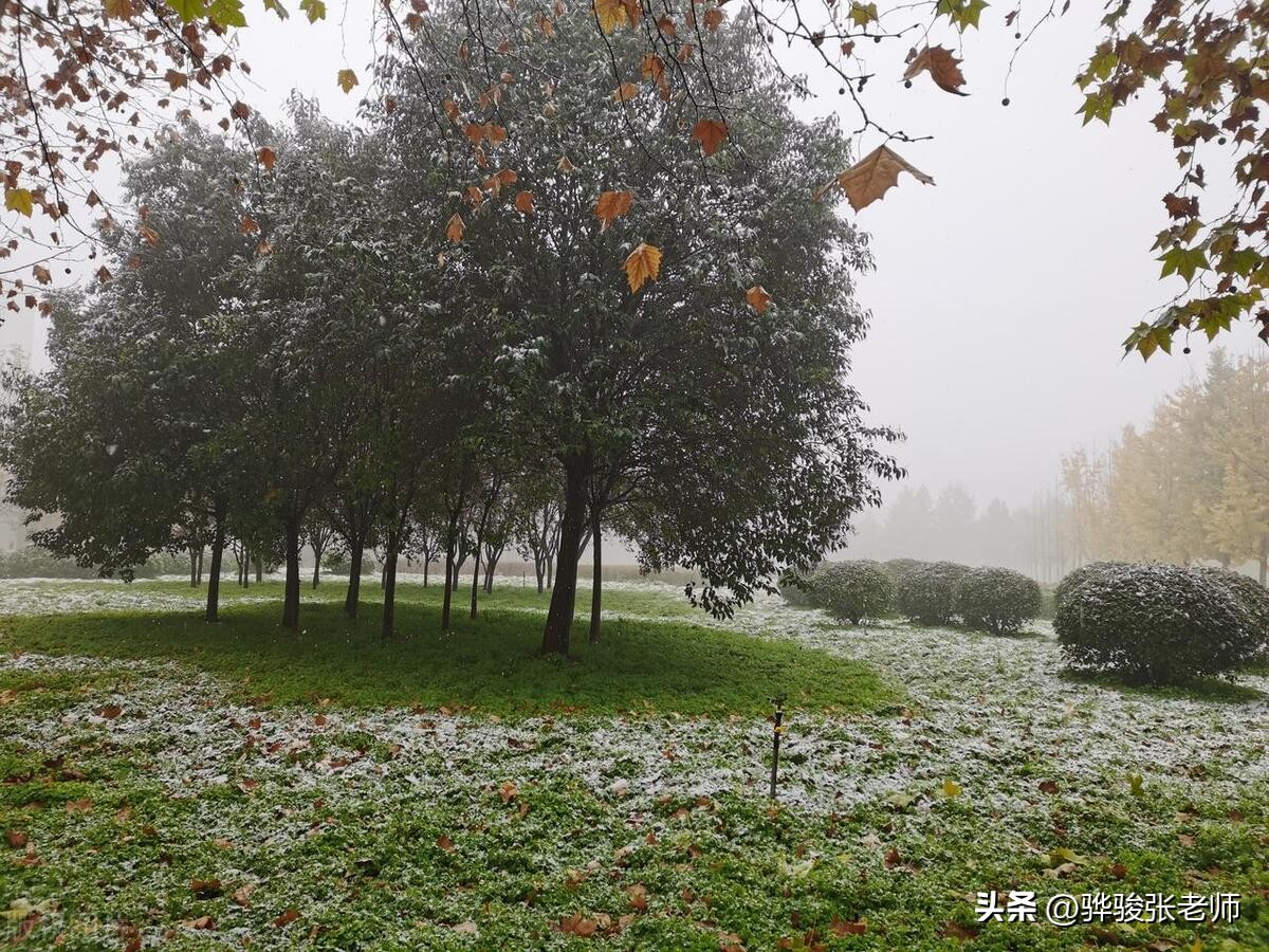 没有盯上清北，偏偏盯上洛阳理工学院，为什么制裁一个双非院校？