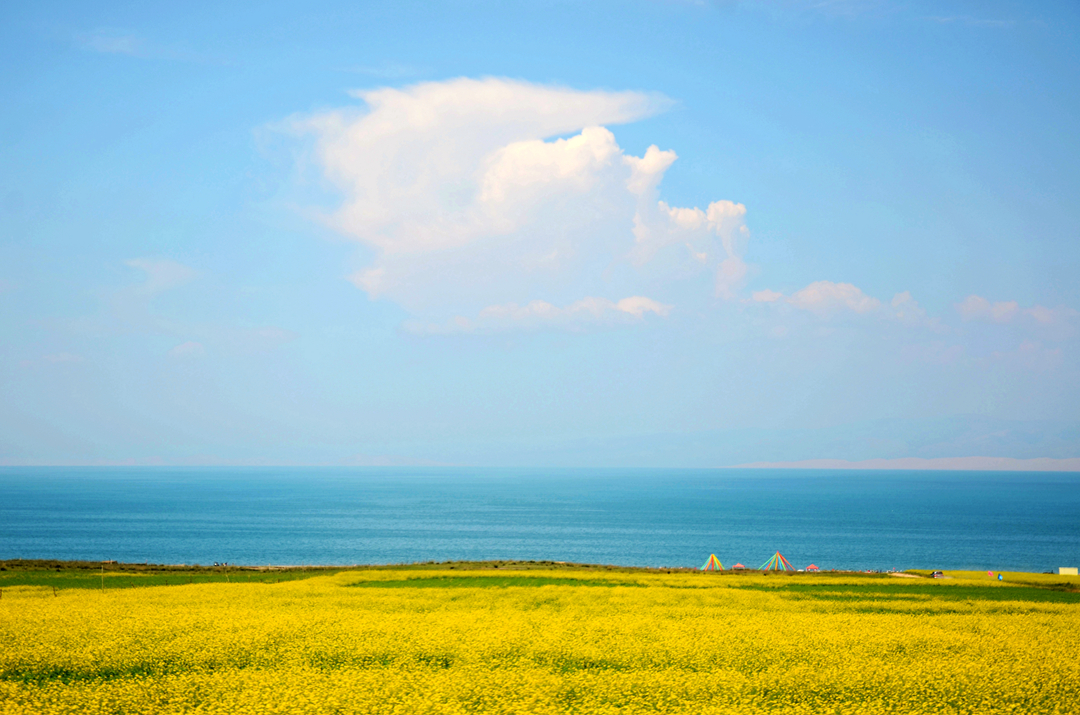 青海2a级旅游景区有哪些,青海5a级景区有哪些景点