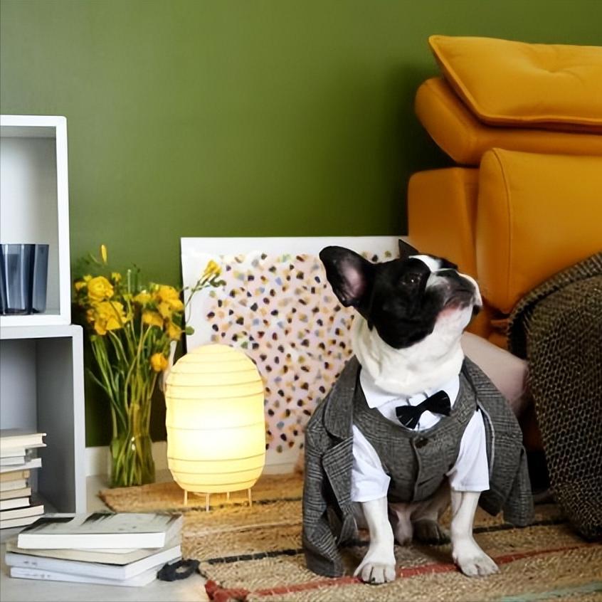 装修墙面保护膜怎么用,家庭装修盾牌