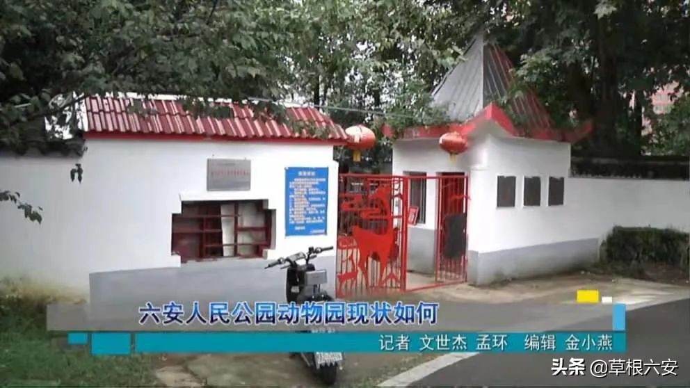 动物园新消息,肥东动物园新消息