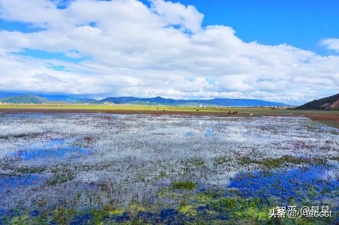 4月香格里拉一日游旅游攻略,大理丽江香格里拉旅游攻略