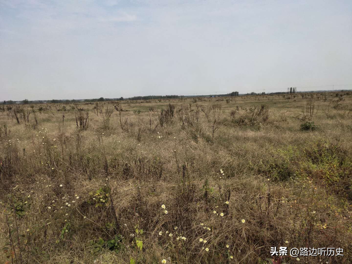 美国怎么防止粮食垄断,美国粮食垄断计划