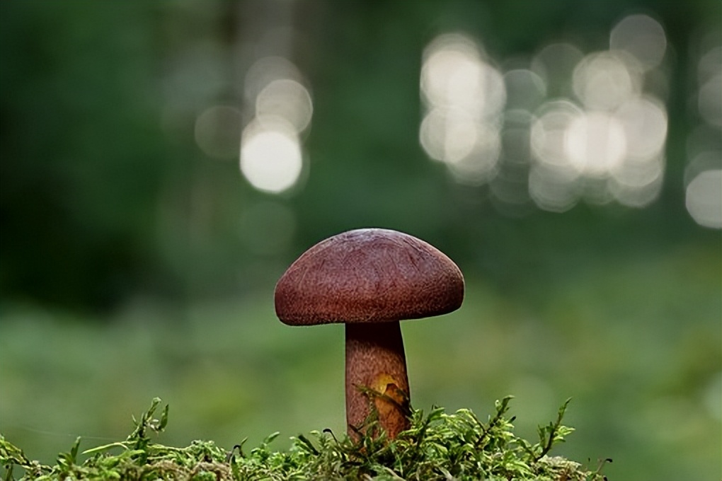 不要让4种人来你家串门,三种人不能随便去别人家串门