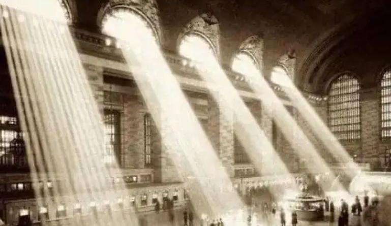 塞西尔伊丽莎白,伊丽莎白塞西尔