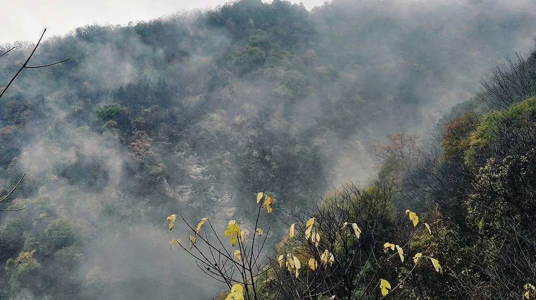 贾平凹自在独行越活越好,贾平凹日子过得才有意义