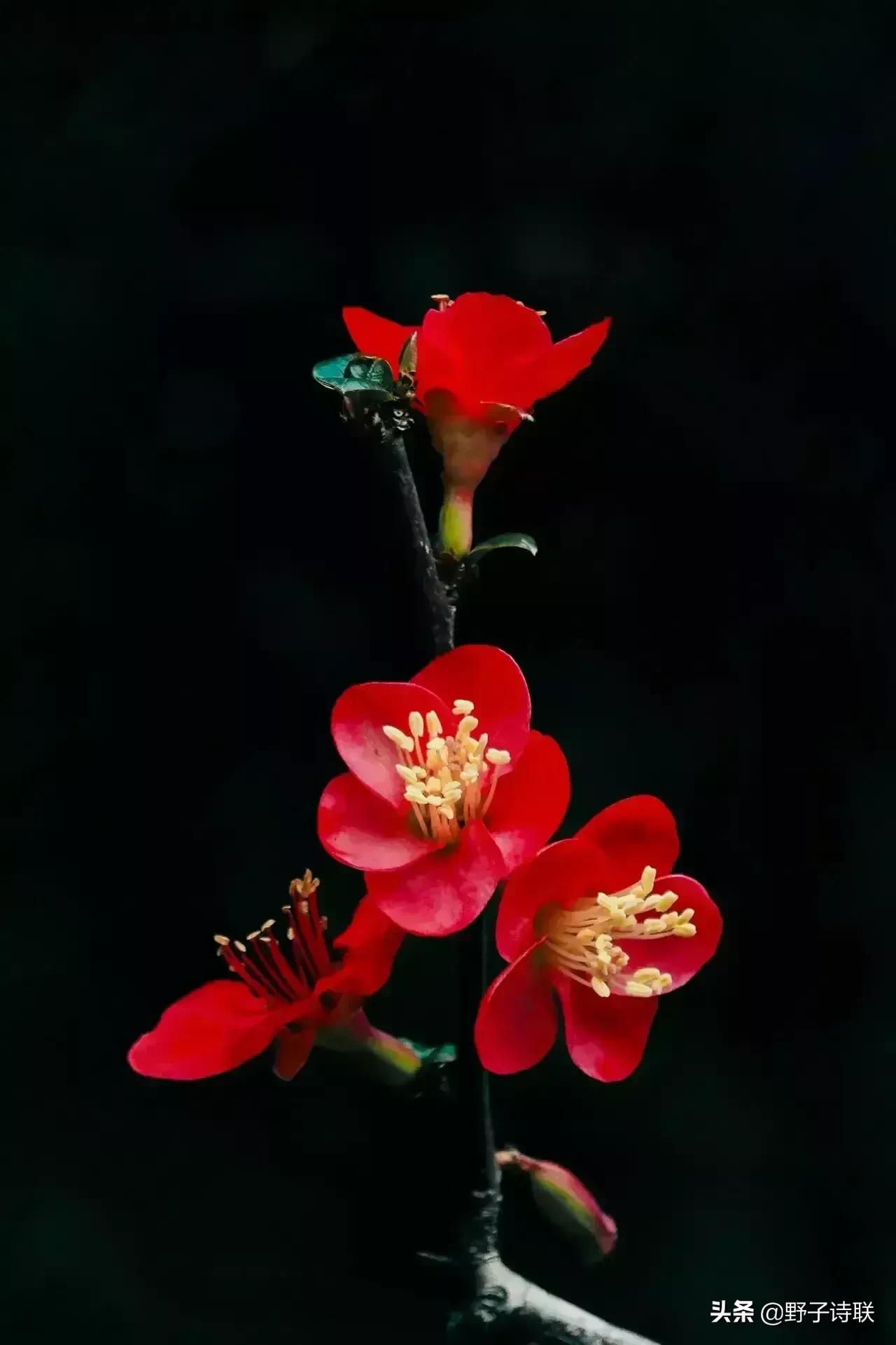 1319勤忙人，天不负；随感配上联：有志之人成大业，下联？