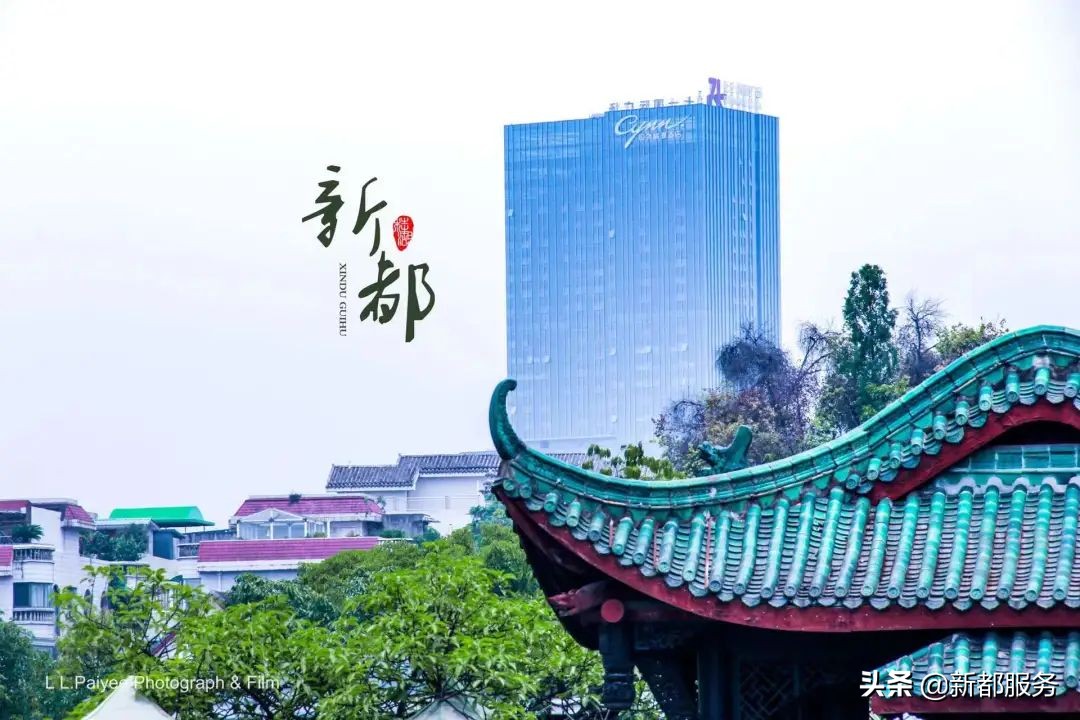 新都是靠什么产业发达的,新都做什么好