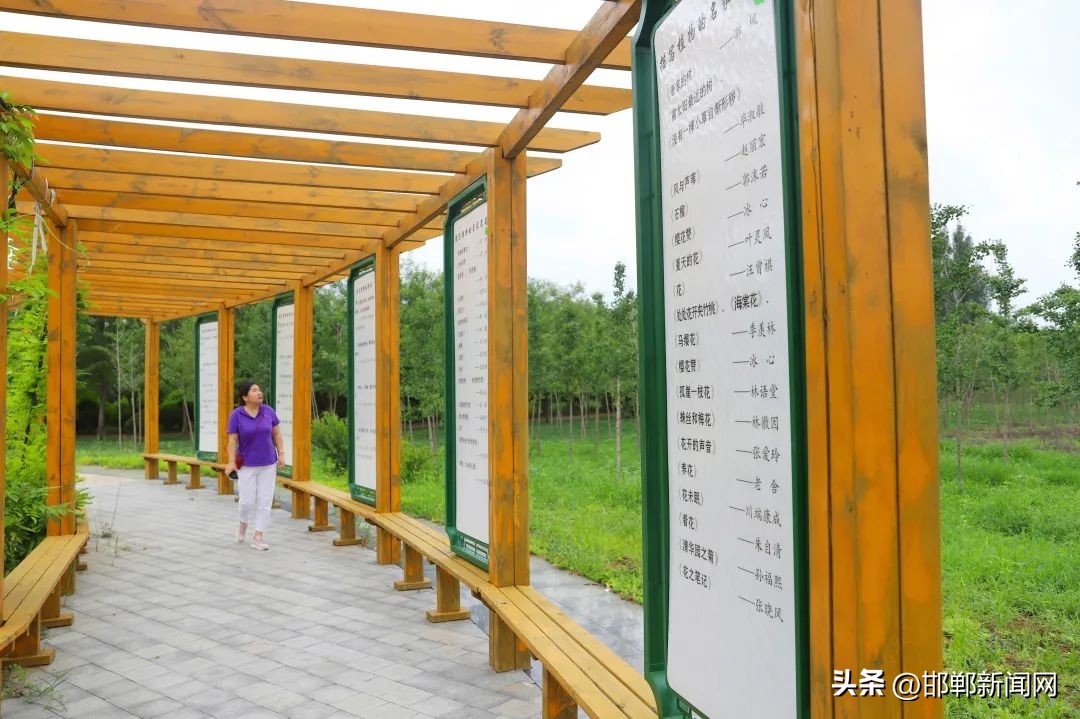 峰峰网红打卡地,寓教于玩幼儿园