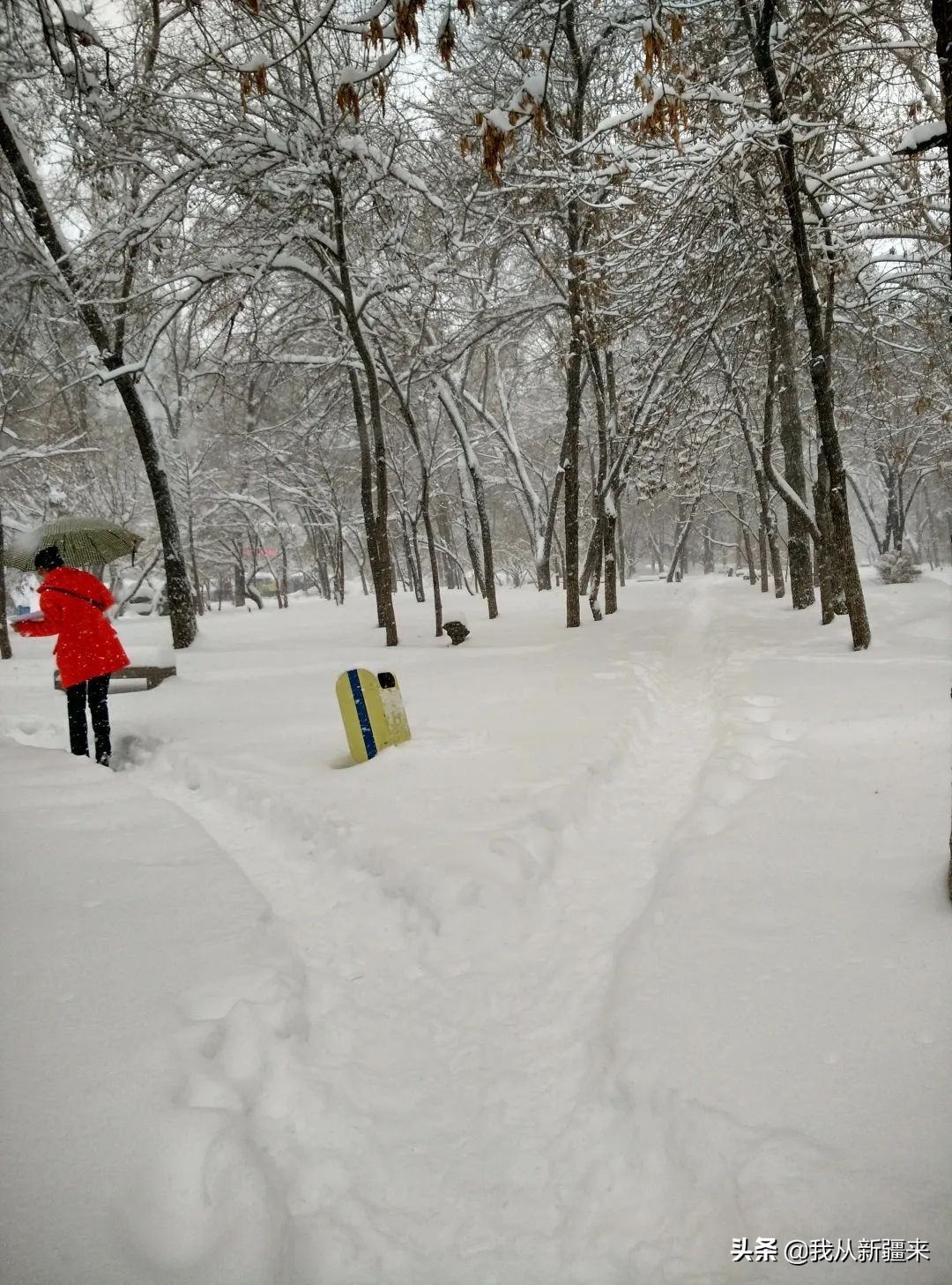 雪后初晴唯美的诗句,古诗词中的绝美冬景