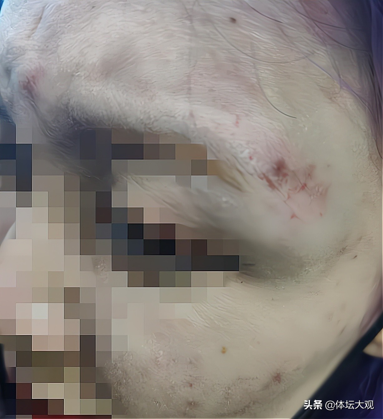 鲁能球员打架事件处理结果,中超打架冲突山东鲁能