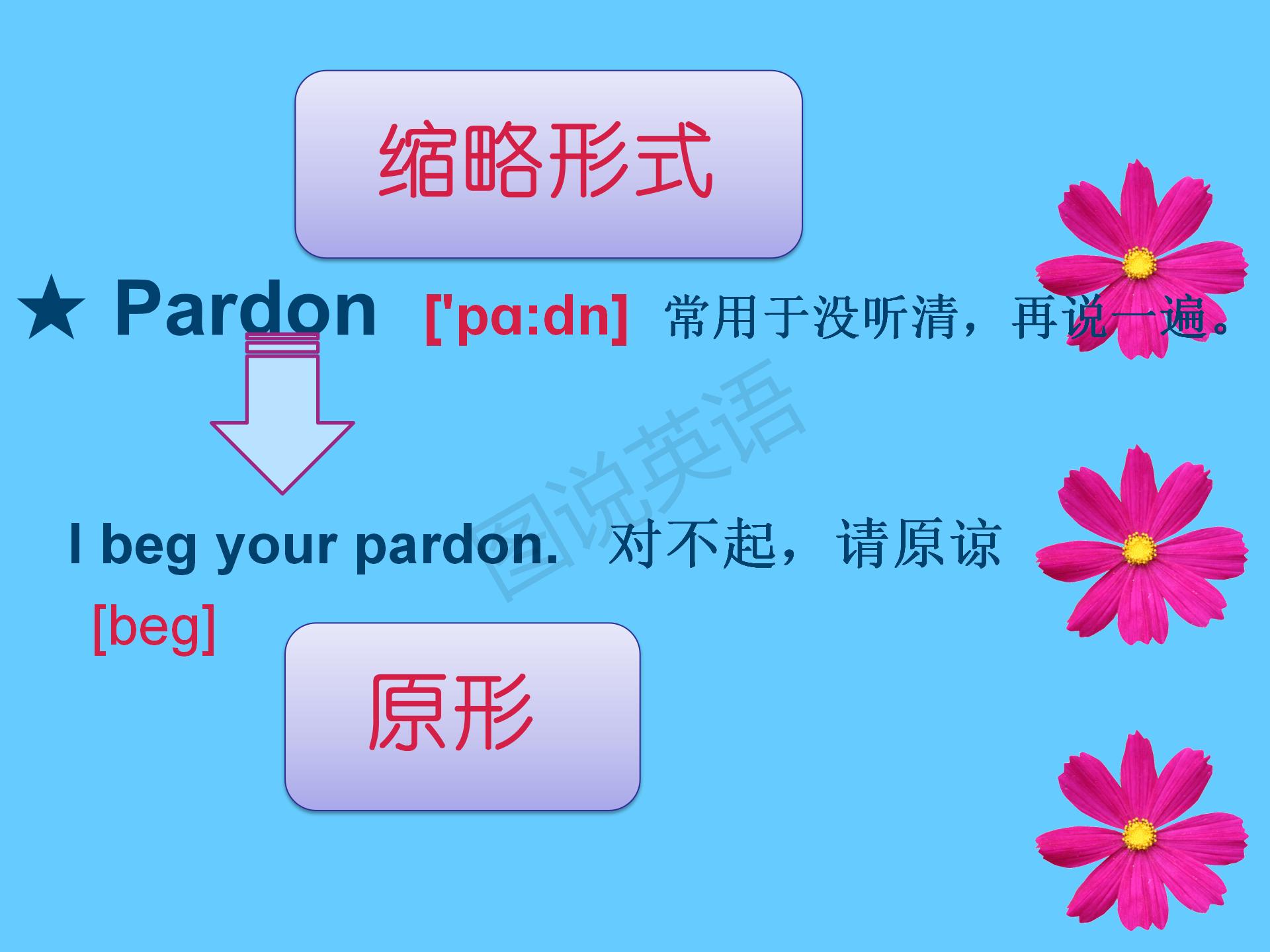 新概念第一册知识点总结课件,新概念英语第一册31到32课课件