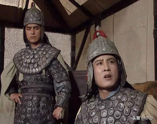 虎将赵云历史,赵统和赵云关系