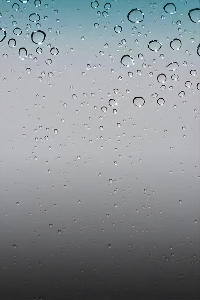 红杉手机壁纸,红杉壁纸4k超清全面屏